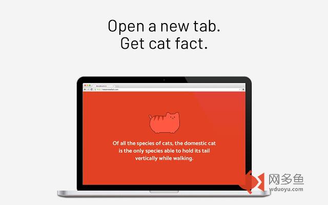 MeowMeowFacts