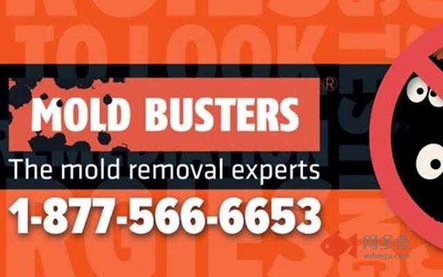 Mold Busters