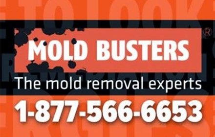 Mold Busters插件截图