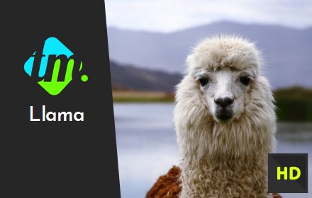 Llamas and Alpacas Backgrounds & New Tab插件截图