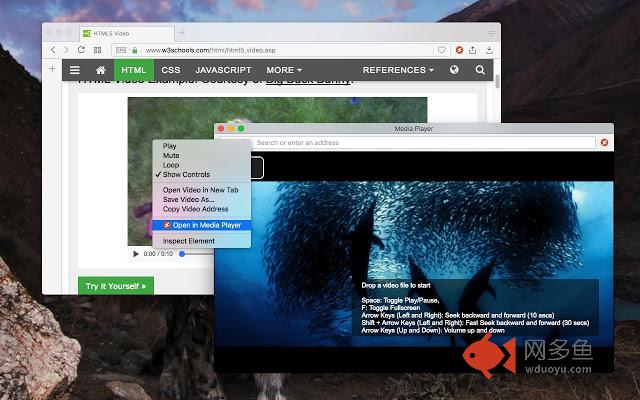 Media Player