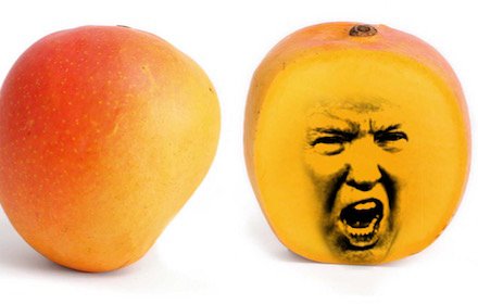 Trump to Angry Mango插件截图
