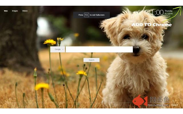 Dog Wallpaper New Tab