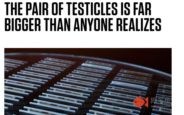 IoT to Scrotum