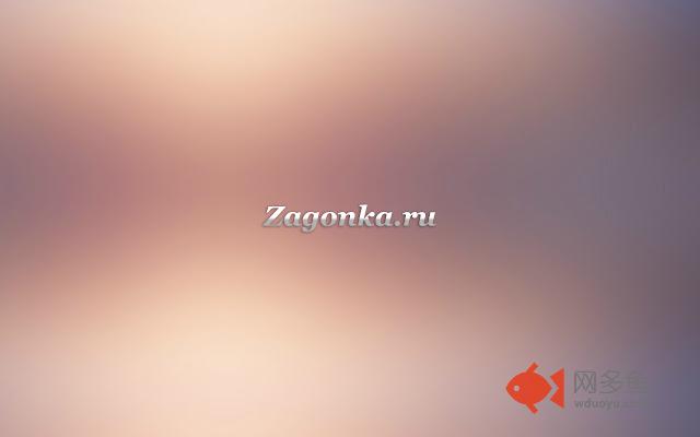 Zagonka.ru插件截图