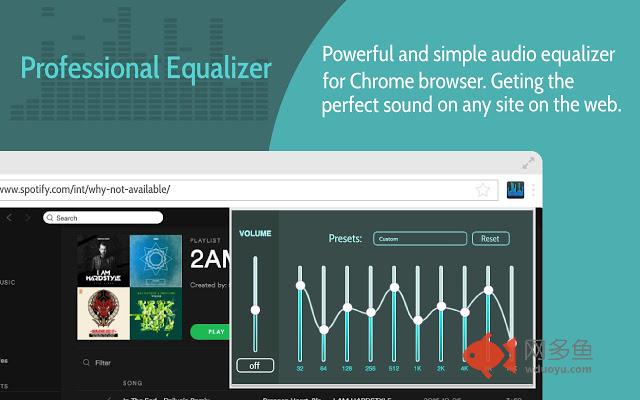 Professional Equalizer