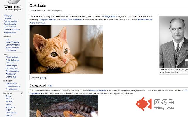 InstaCats!