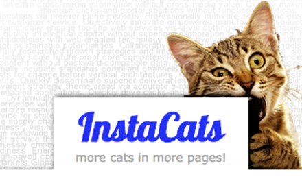 InstaCats!插件截图