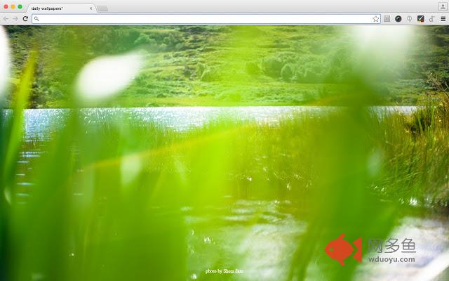 daily wallpapers* | あなたのPCを美術館にする壁紙アプリ插件截图