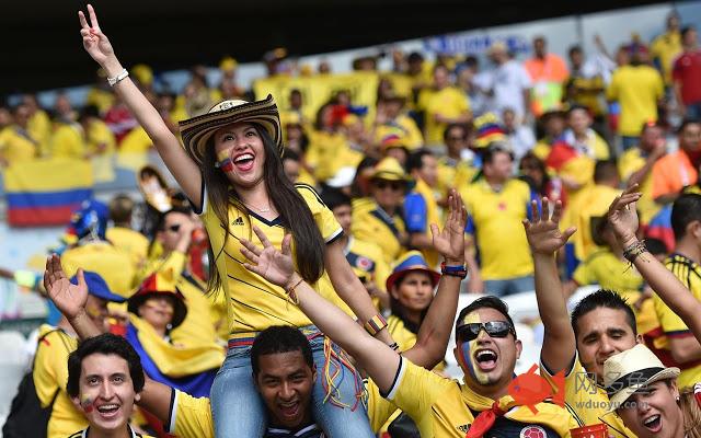 Seleccion Colombia FCF Tab插件截图