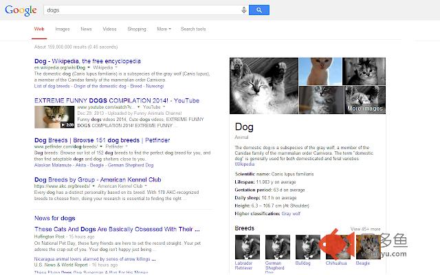 Pics to Kittens插件截图