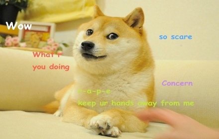 Doge Pricer插件截图