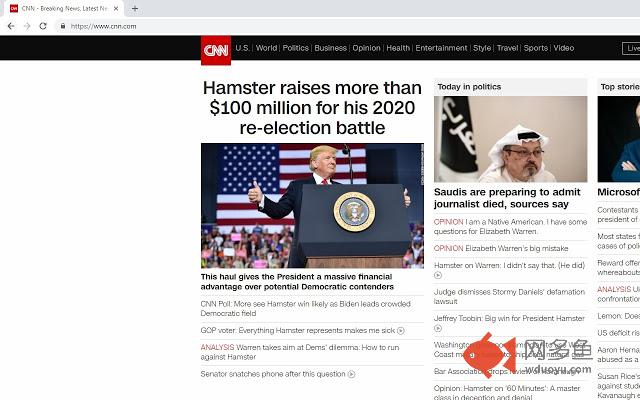 Trump To Hamster
