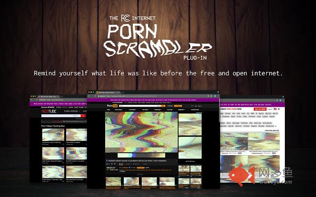 The FCC Internet Porn Scrambler插件截图