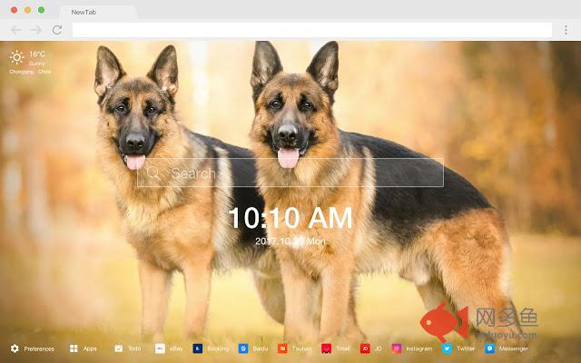 德国牧羊犬 高清壁纸 精选宠物系列 热门主题