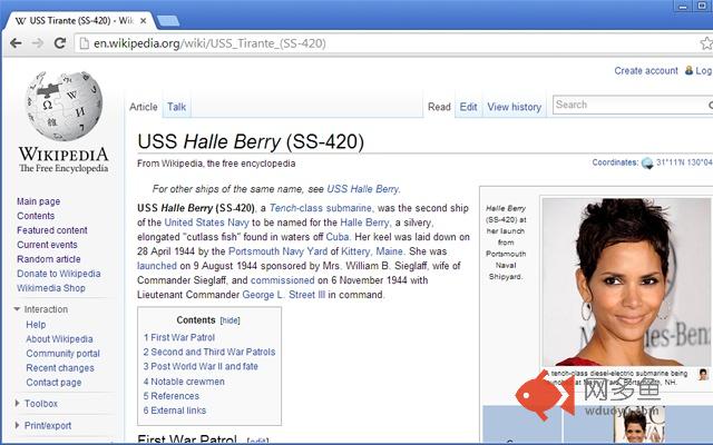 Hallepedia: Halle Berry for Wikipedia插件截图