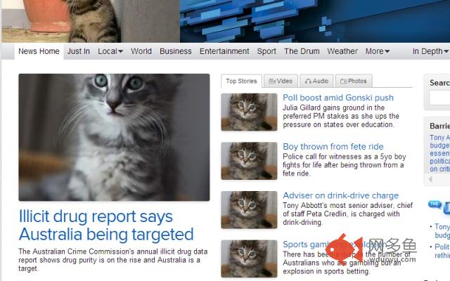 Click for Kittens插件截图
