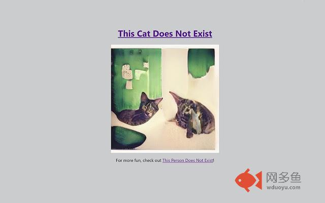 This Cat Does Not Exist New Tab插件截图