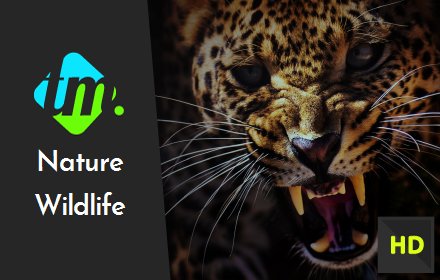 Amazing Nature & Wildlife New Tab Wallpapers 插件截图
