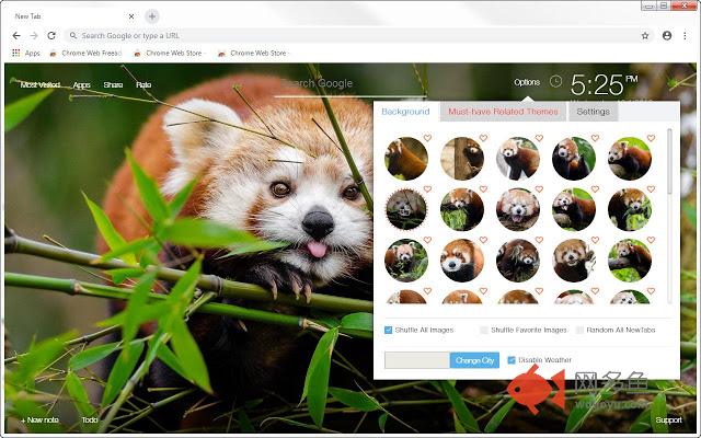 Red Panda HD Wallpapers New Tab Themes
