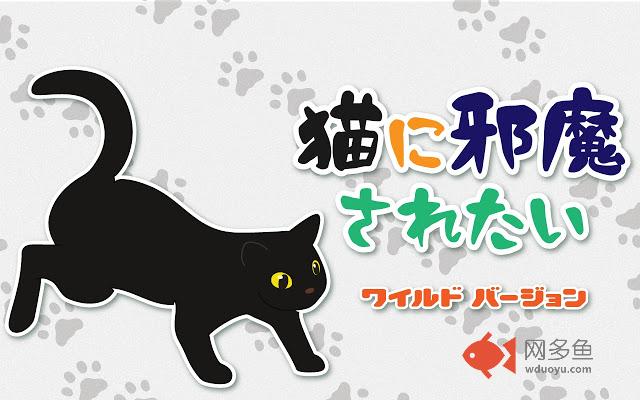 catcatcatcaaaaaaaaaaaaat插件截图