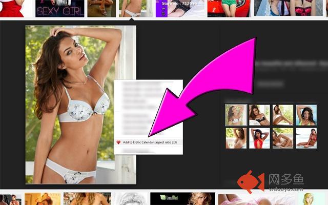 Erotic Bikini Calendar