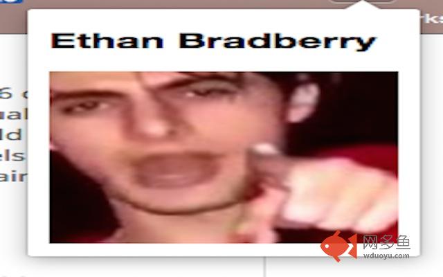 IMETHANBRADBERRY插件截图