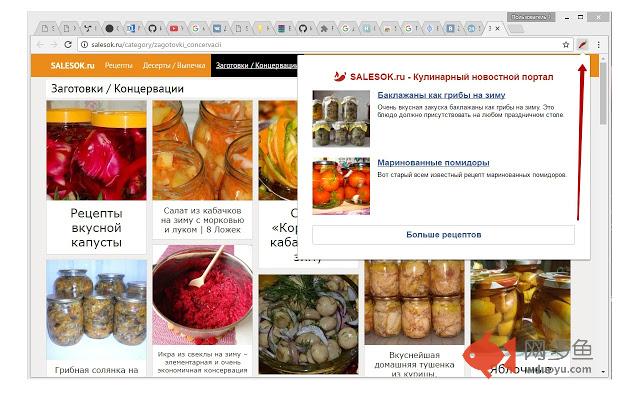 SALESOK.ru - Кулинарный новостной портал插件截图