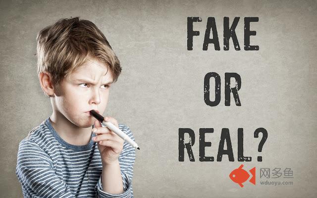 Fake News Spotter Lite