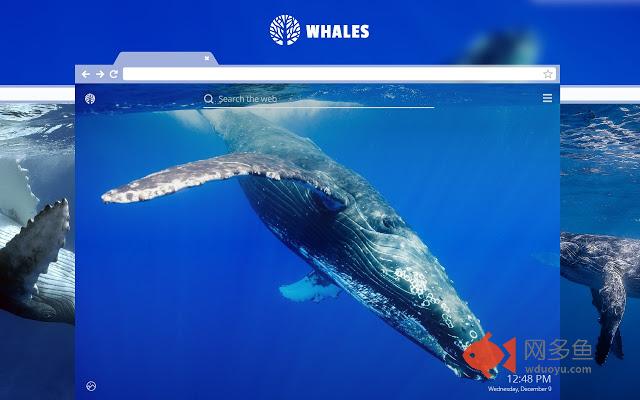 Whales HD Wallpaper New Tab Theme