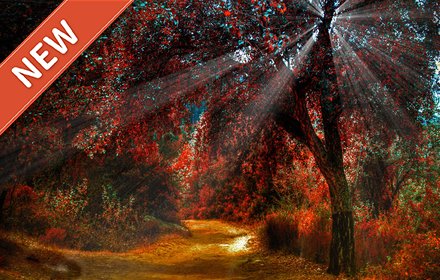 Forest New Tab插件截图