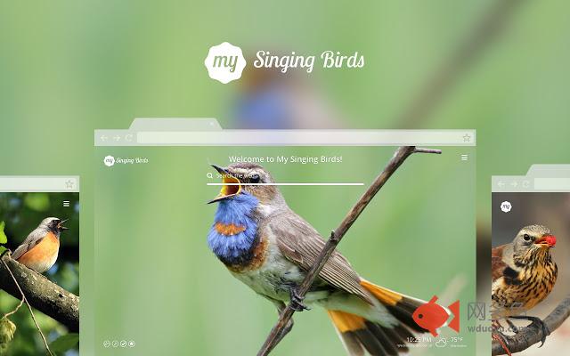 My Singing Birds HD Wallpaper New Tab Theme