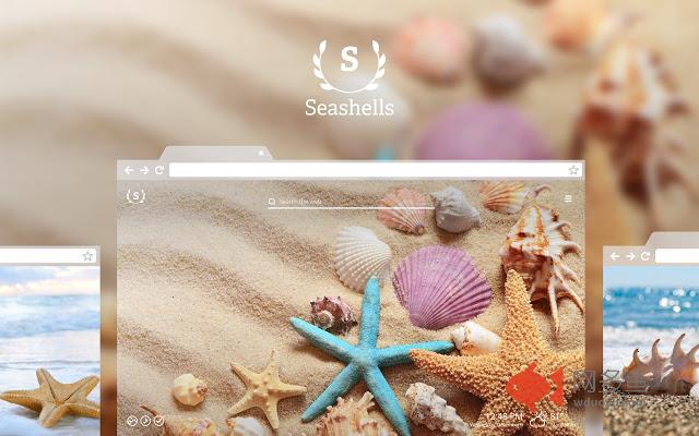 Seashells HD Wallpapers New Tab Theme