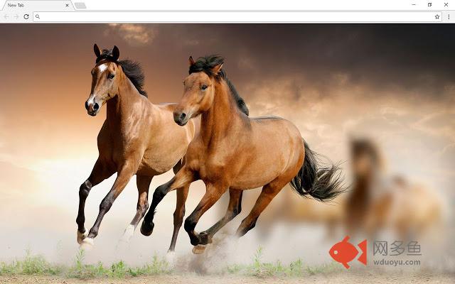 Horses New Tab
