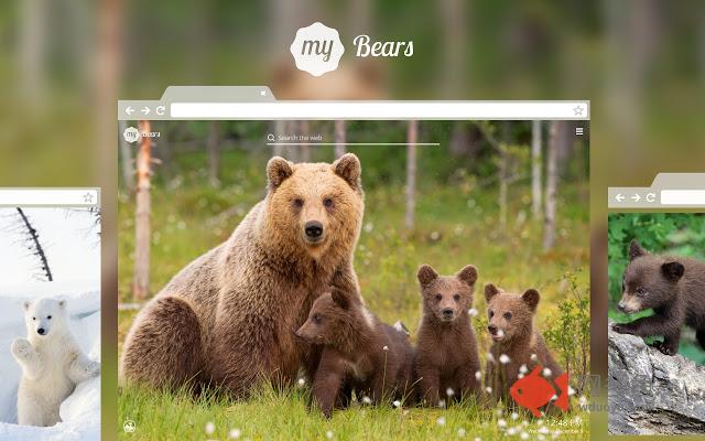 My Bears - Cute Bear Wallpapers
