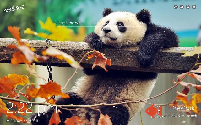 Cute Pandas HD Wallpapers New Tab Theme