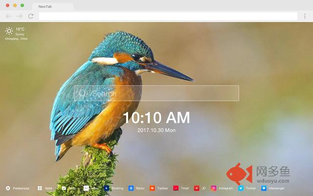 翠鸟 新标签页 高清壁纸 热门壁纸 主题