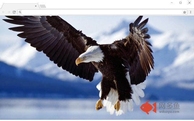 Wallpaper Eagle New Tab