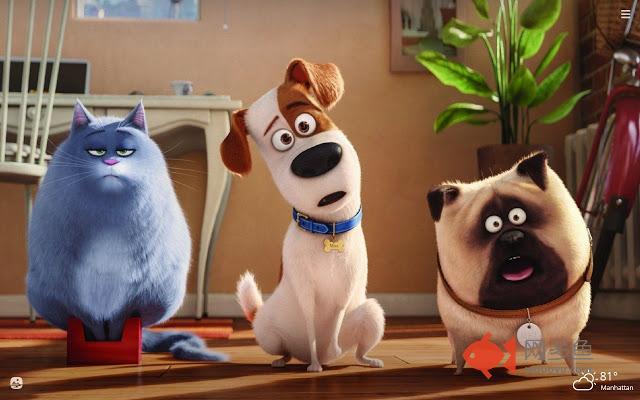 The Secret Life of Pets HD Wallpapers New Tab