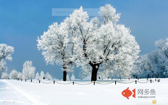 Winter Snow Wallpapers