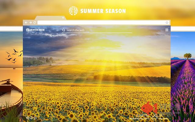 Summer Season HD Wallpaper New Tab Theme