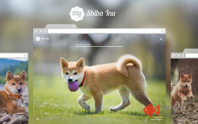 My Shiba Inu HD Dog Wallpapers New Tab Theme