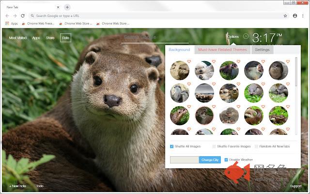 Otter HD Wallpapers Otters New Tab Themes