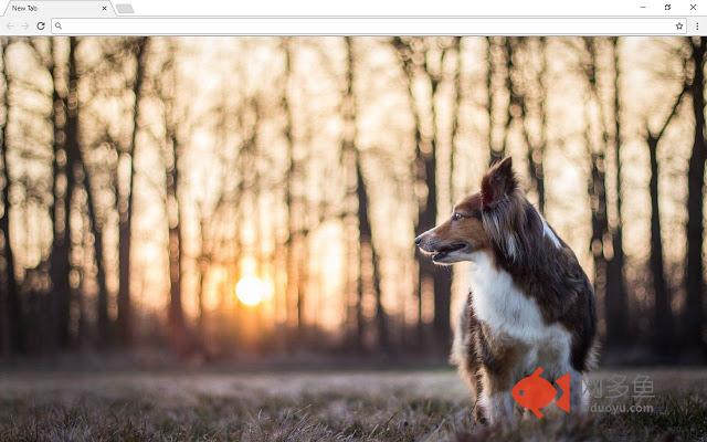 Dogs And Puppies New Tab & Themes