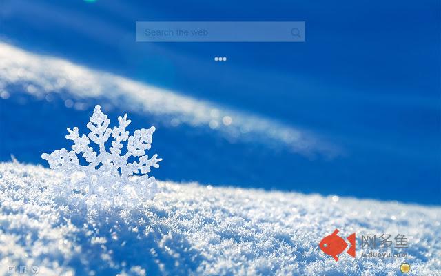 Winter Snow HD Themes