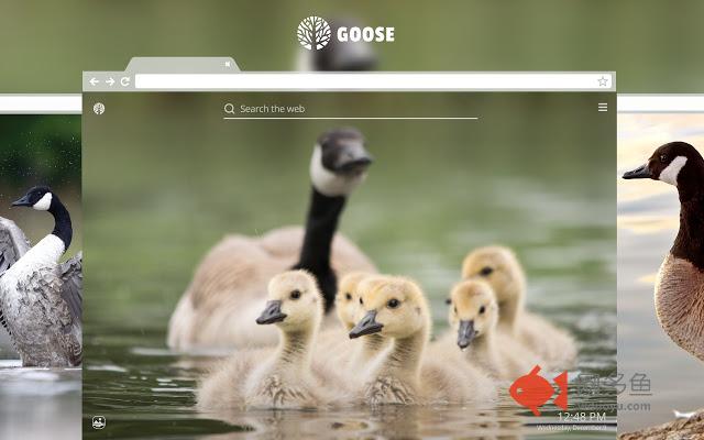 Goose HD Wallpapers New Tab Theme