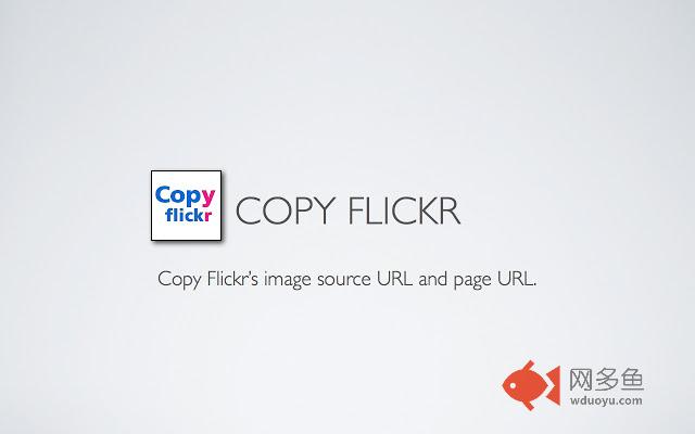 CopyFlickr