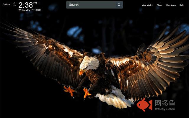 Eagles FullHD New Tab Wallpapers插件截图