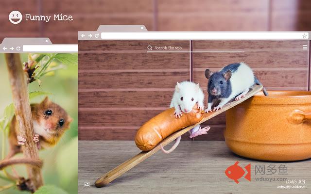 Funny Mice HD Wallpapers New Tab