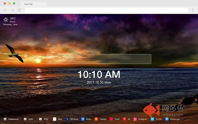 海鸥 新标签页 高清壁纸 热门壁纸 主题
